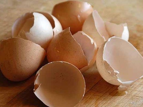 Çöp deyip attıklarınız bakın ne işe yarıyor