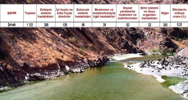 Ölüm oranlarının en yüksek olduğu iller