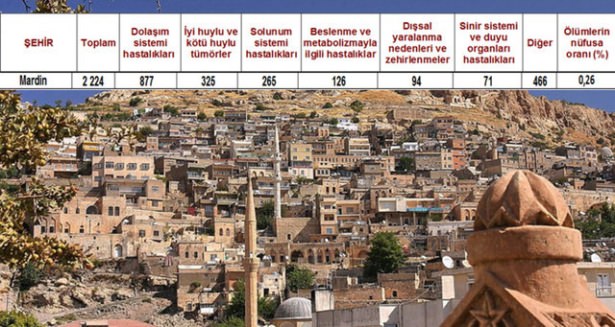 Ölüm oranlarının en yüksek olduğu iller