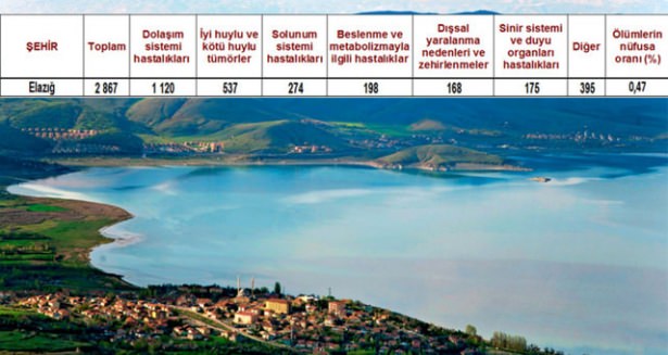 Ölüm oranlarının en yüksek olduğu iller