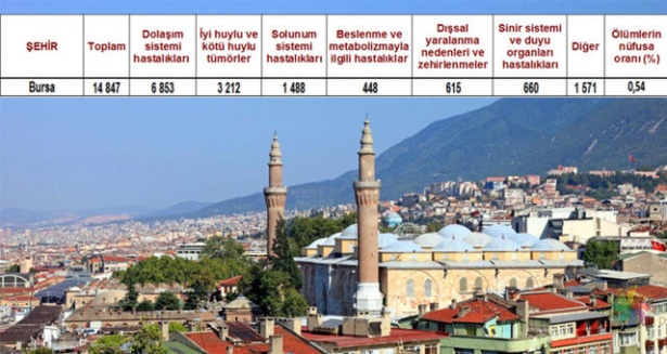 Ölüm oranlarının en yüksek olduğu iller