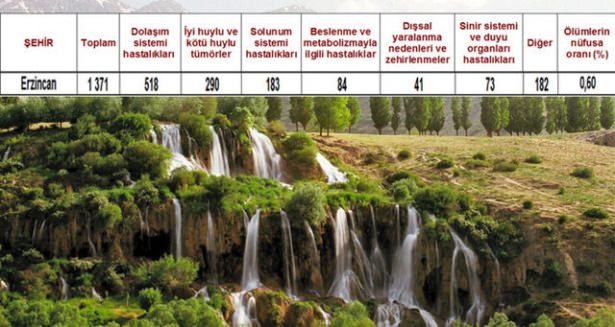 Ölüm oranlarının en yüksek olduğu iller