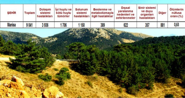 Ölüm oranlarının en yüksek olduğu iller