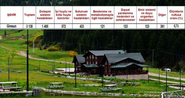 Ölüm oranlarının en yüksek olduğu iller