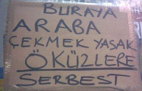 Türkler Google'ın kamerasına öyle bir yakalandı ki!