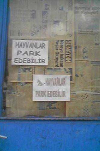 Yurdum insanı güldürmeye devam ediyor