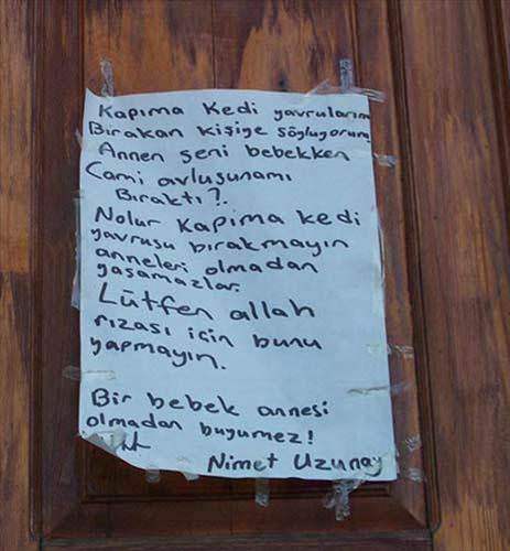 Yurdum insanı güldürmeye devam ediyor