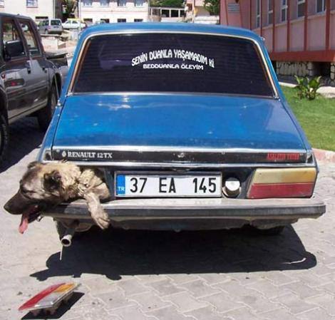 Yurdum insanı güldürmeye devam ediyor