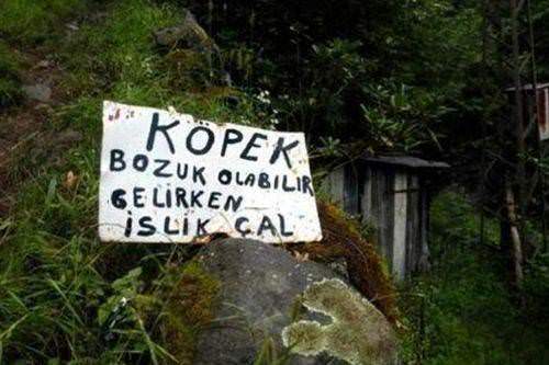Yurdum insanı güldürmeye devam ediyor