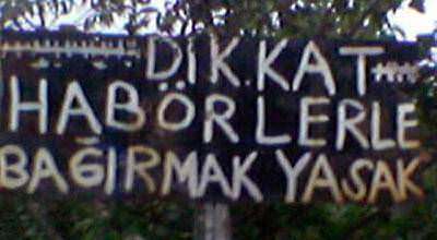 Yurdum insanı güldürmeye devam ediyor