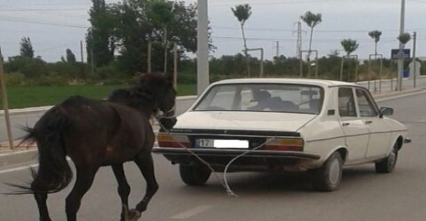 Yurdum insanı güldürmeye devam ediyor