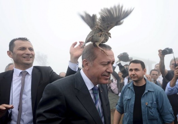 2015'in en iyi fotoğrafları