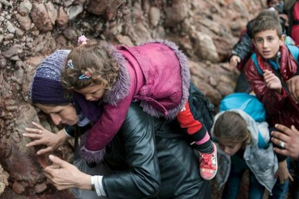 2015'in en iyi fotoğrafları