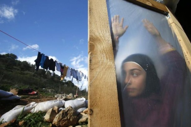 2015'in en iyi fotoğrafları