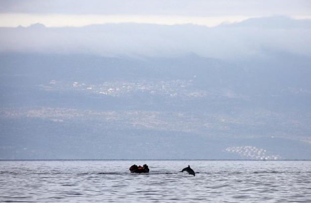2015'in en iyi fotoğrafları
