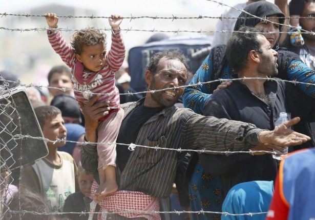 2015'in en iyi fotoğrafları