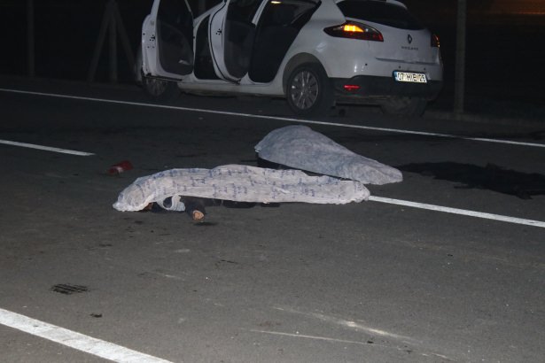 'Asfaltta' selfie canlarından etti