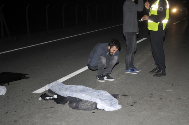 'Asfaltta' selfie canlarından etti