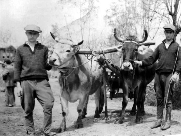Bir zamanlar ulaşım böyle yapılıyordu
