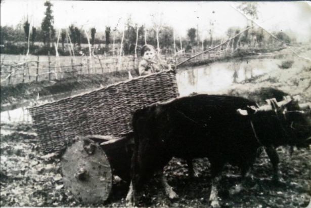 Bir zamanlar ulaşım böyle yapılıyordu
