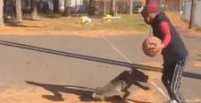 Attığı feykle köpeği yalan etti