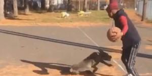 Attığı feykle köpeği yalan etti