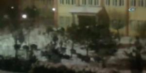 Aç kalan domuz sürüsü kampüse indi
