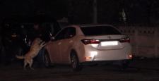 Sahte plakalı otomobilde bomba paniği