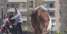 Kurban Bayramına damga vuran kareler!
