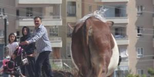 Kurban Bayramına damga vuran kareler!