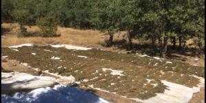Lice kırsalında PKK’ya uyuşturucu darbesi