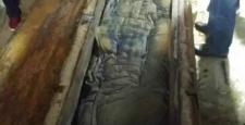 Çin’de bozulmamış 500 yıllık ceset bulundu